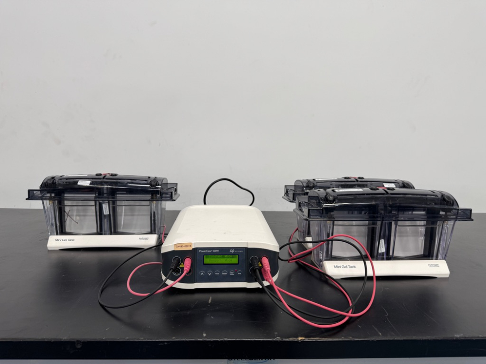 Image of Life Technologies PowerEase300W Electrophoresis Power Supply